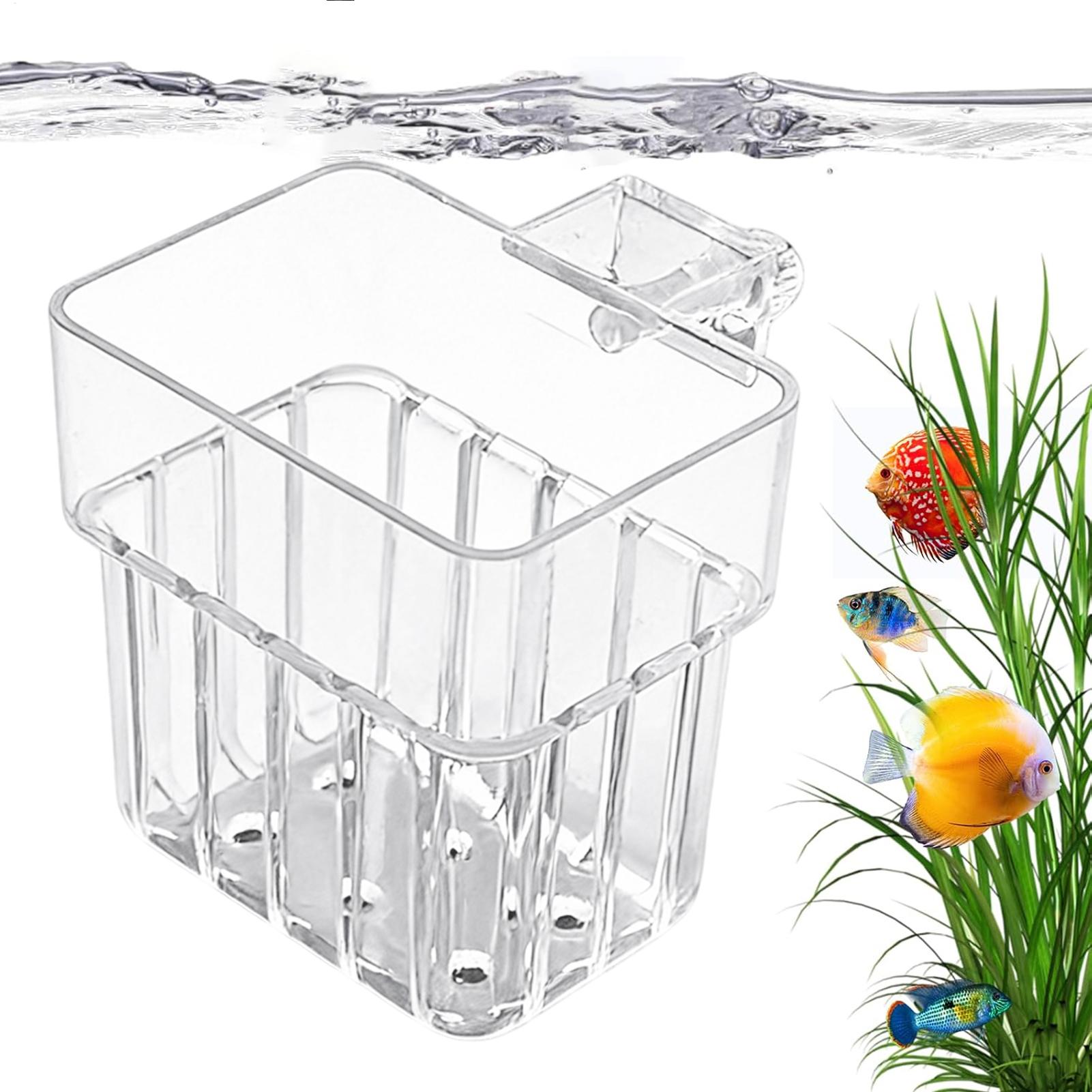 Aquarium Plants Live - Şeffaf Asılabilir Akvaryum Bitki Saksısı, Balık