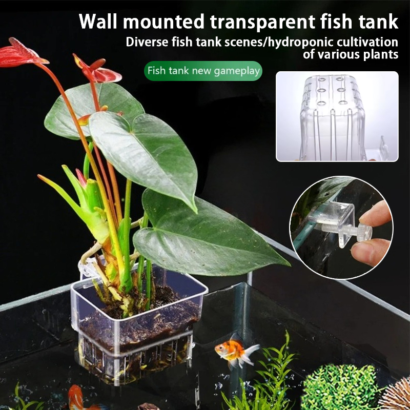 Aquarium Plant Holder - Akvaryum Asma Saksıları Duvara Monte Edilen