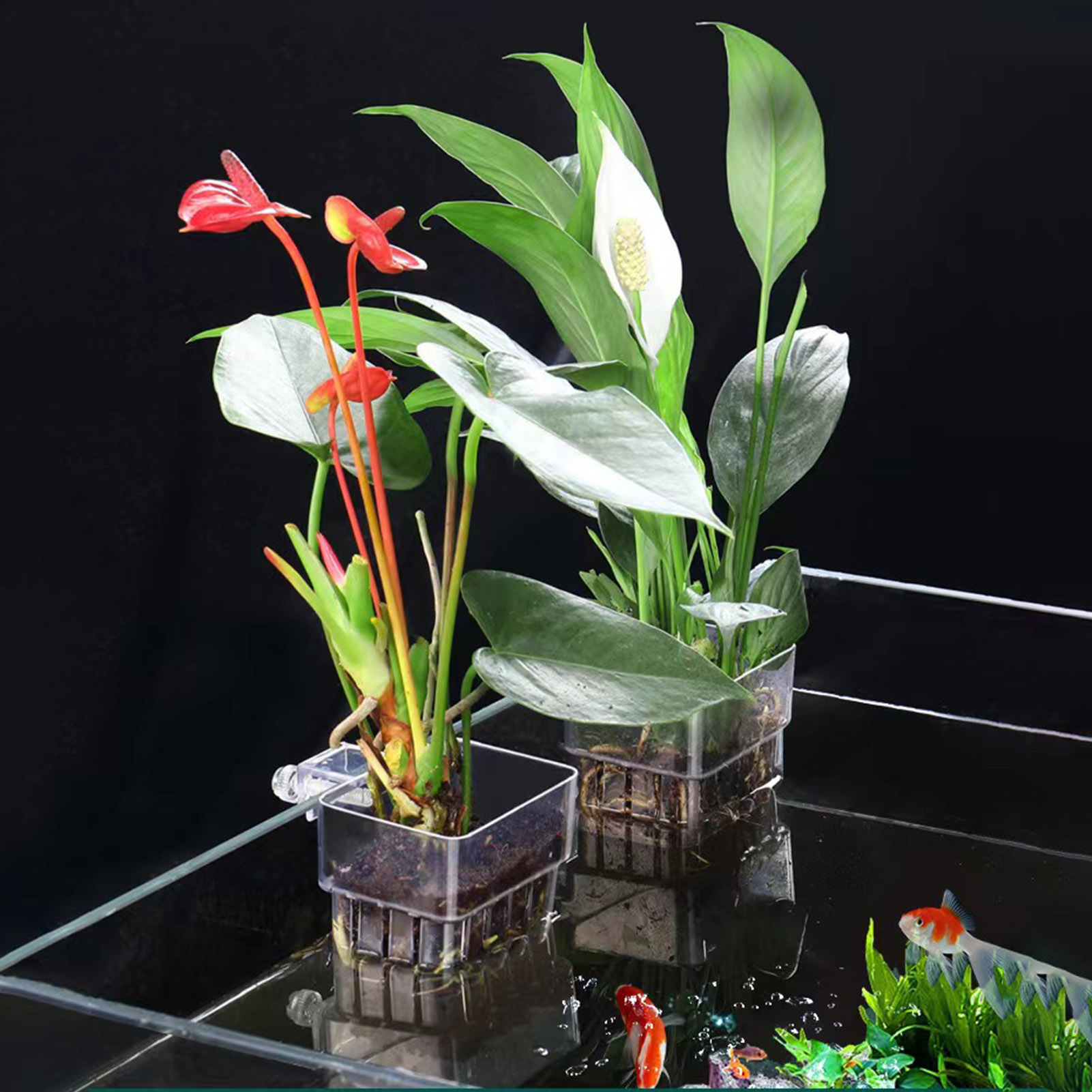 Aquarium Plant Holder - Şeffaf Akrilik Bitki Tutucu, Balık Tankı