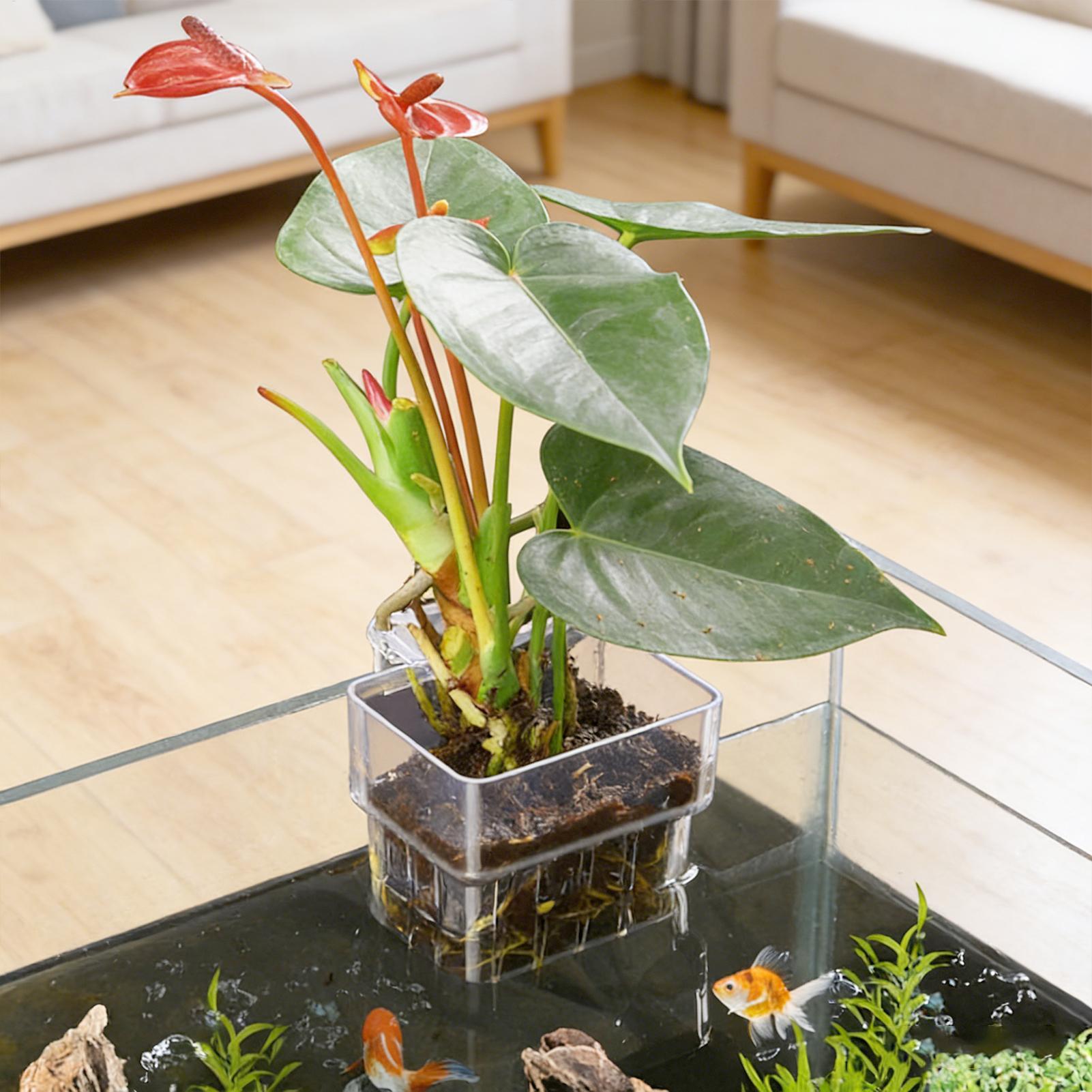 Aquarium Plant Holder - Akvaryum Bitki Sepeti Şeffaf Balık Tankı
