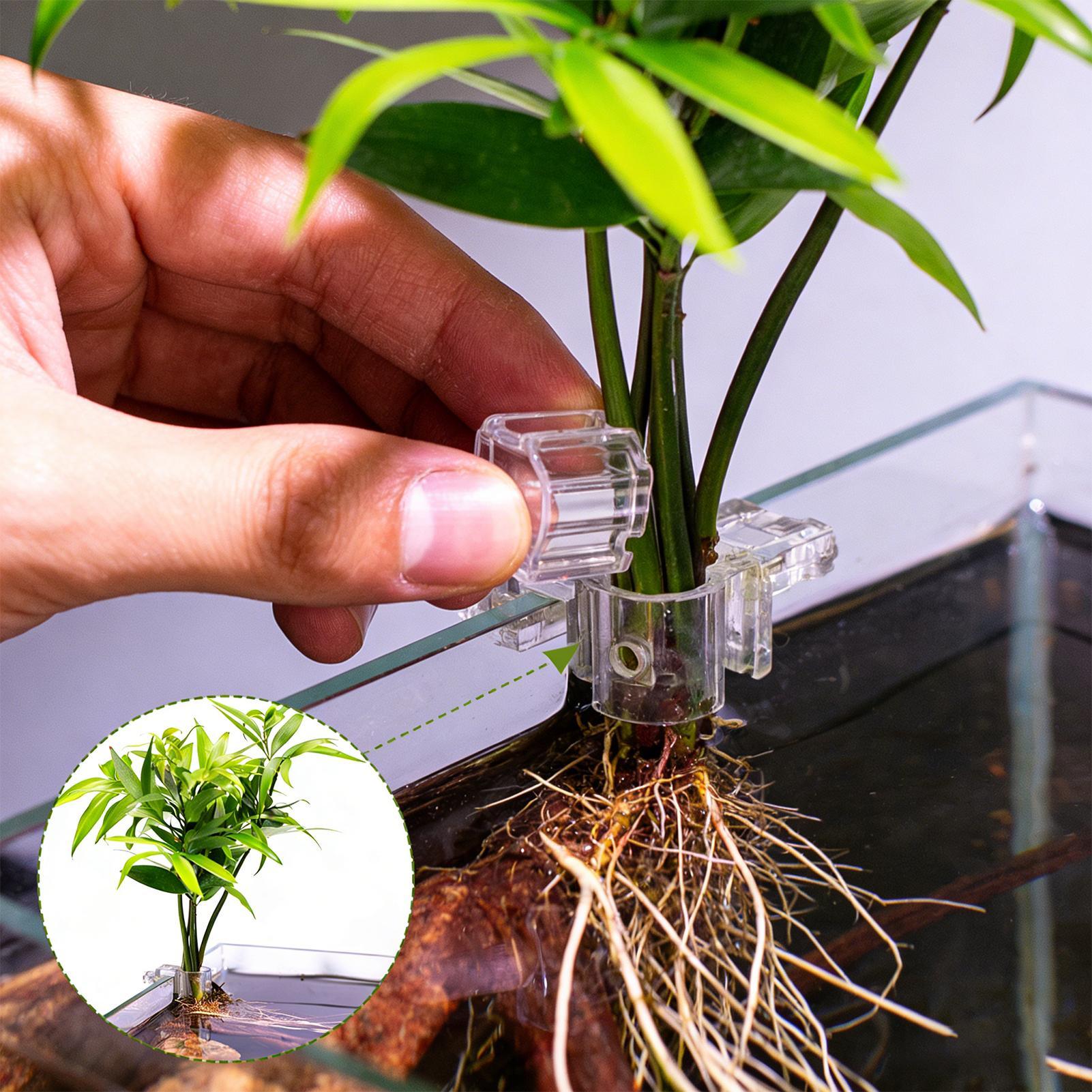 Aquarium Plant Holder - 6 adet Akvaryum Bitki Tutucular Şeffaf