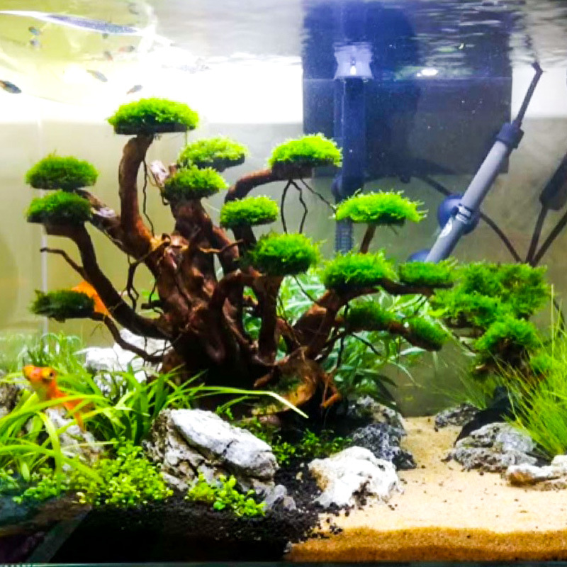 Aquarium Driftwood - Akvaryum Peyzaj Süslemeleri Yosun Ağacı İskeleti