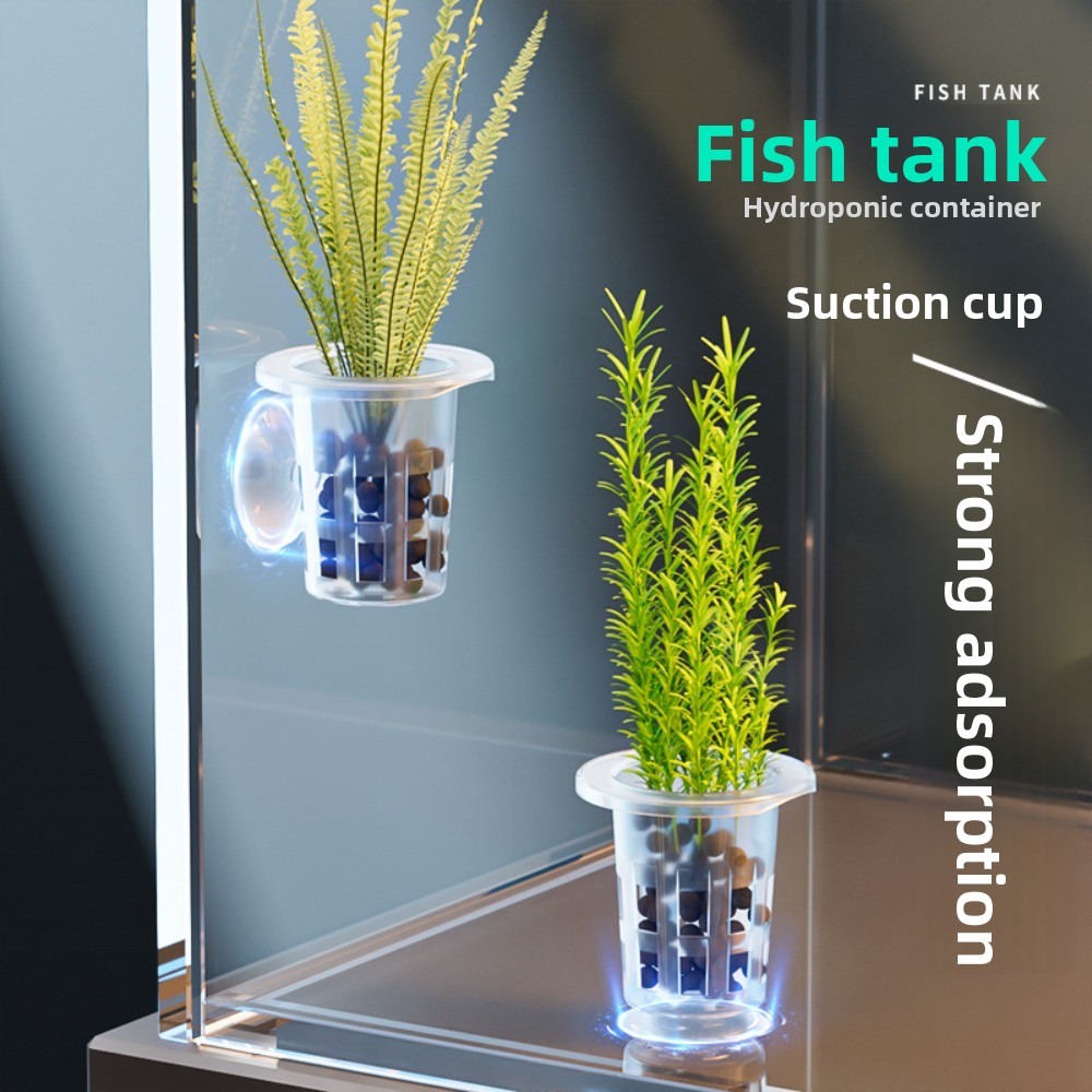 10 adet şeffaf bitki topraksız - Aquarium Plants Live incelemesi ve fiyatı
