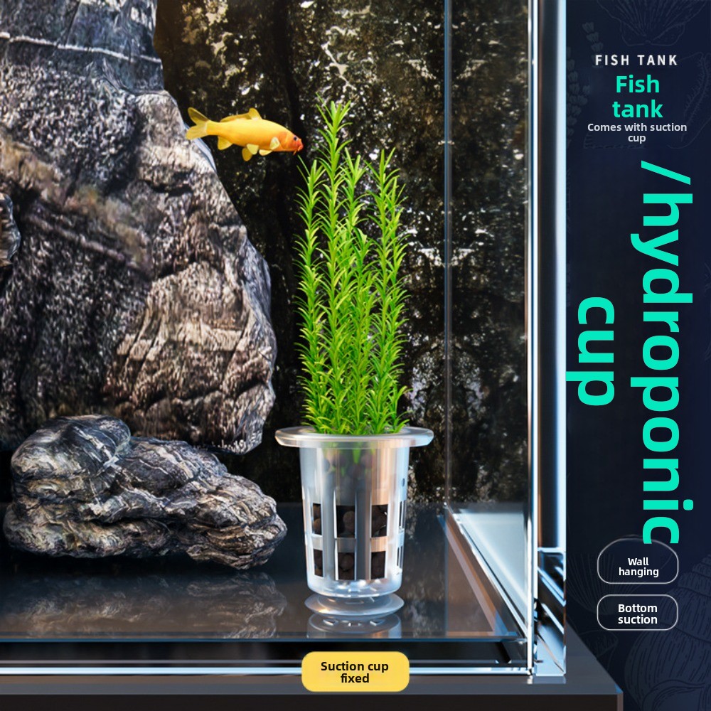 10 adet şeffaf bitki topraksız - Aquarium Plants Live incelemesi ve fiyatı