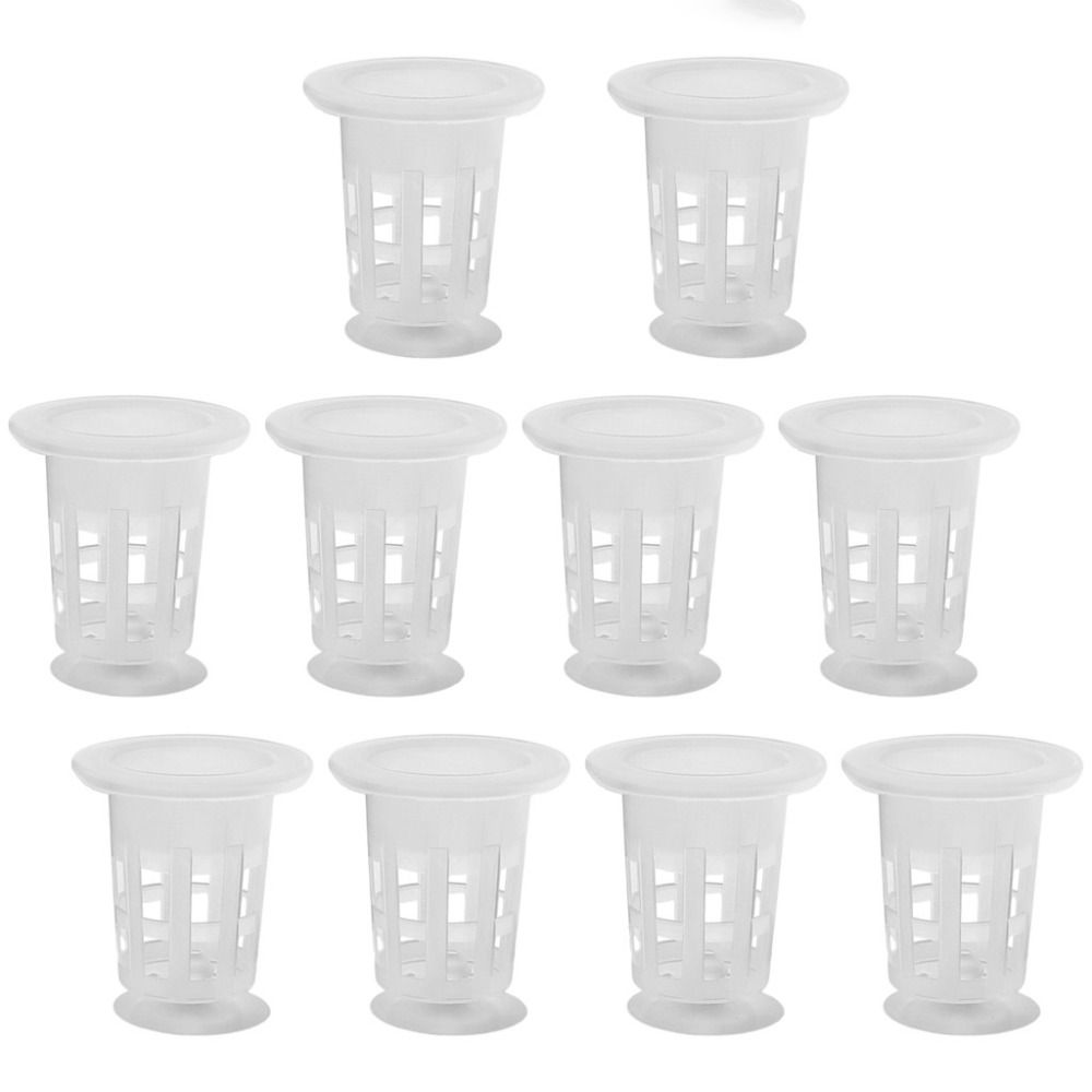 10 adet şeffaf bitki topraksız - Aquarium Plants Live incelemesi ve fiyatı