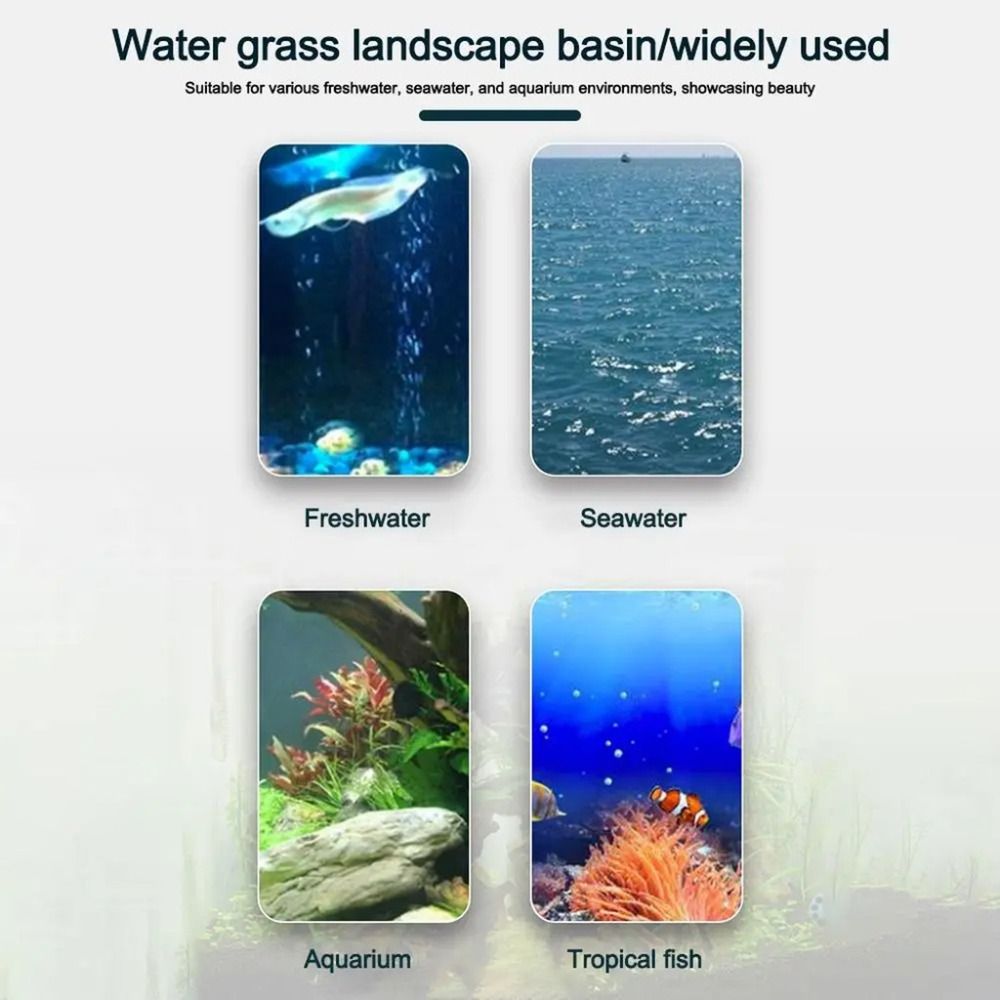10 adet şeffaf bitki topraksız - Aquarium Plants Live incelemesi ve fiyatı
