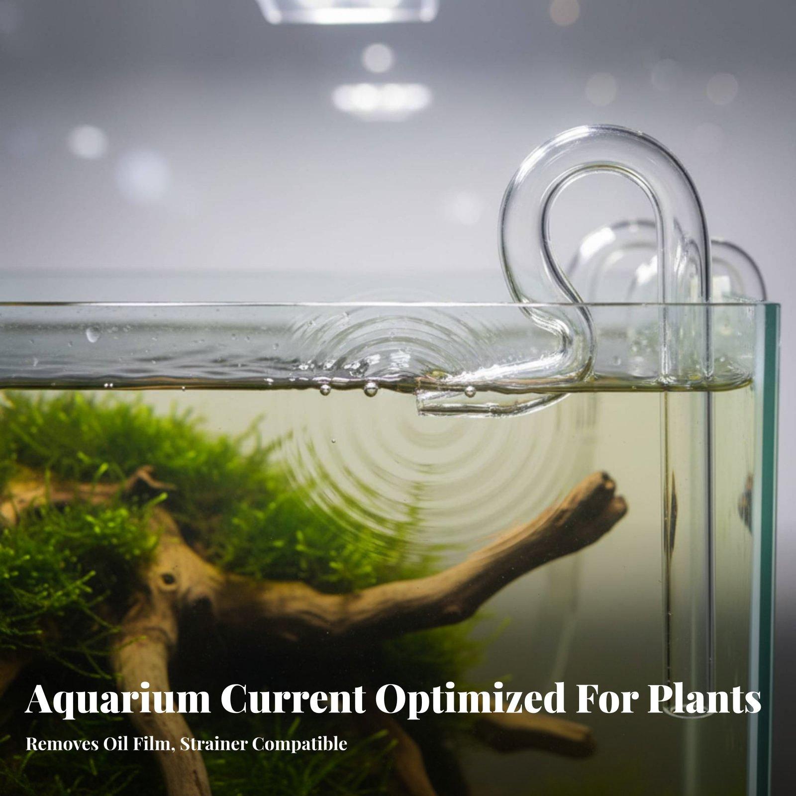 Cam Lily Borusu Akvaryum Yüzey - Aquarium Planted Tank Filter incelemesi ve fiyatı