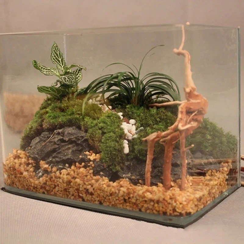 Doğal ağaç gövdesi Driftwood a - Aquarium Driftwood incelemesi ve fiyatı