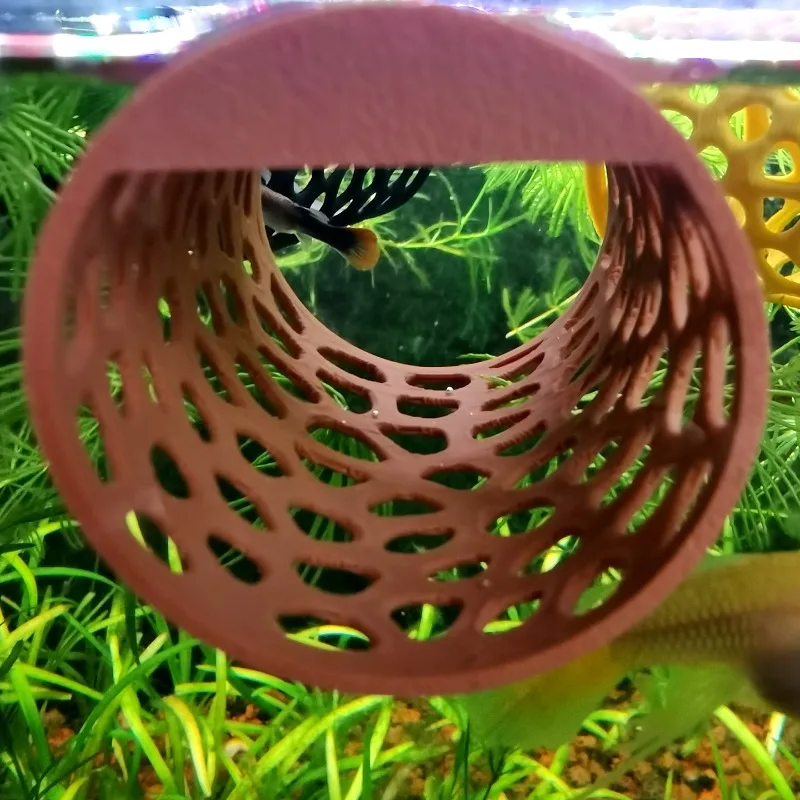 Yüzen Betta Hamağı Tüneli, Kar - Aquarium Plants Live incelemesi ve fiyatı
