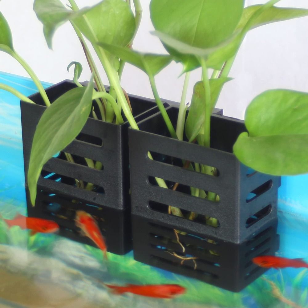 Emersed Bitkiler için Kancalı  - Aquarium Plant Holder incelemesi ve fiyatı