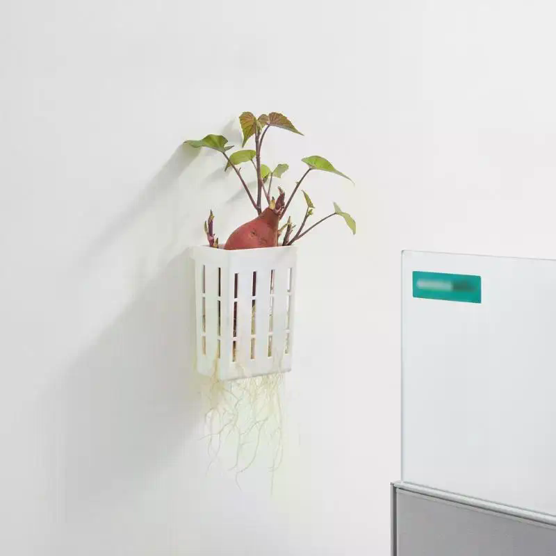 1 Adet Hidroponik Destek Sepet - Aquarium Plant Holder incelemesi ve fiyatı