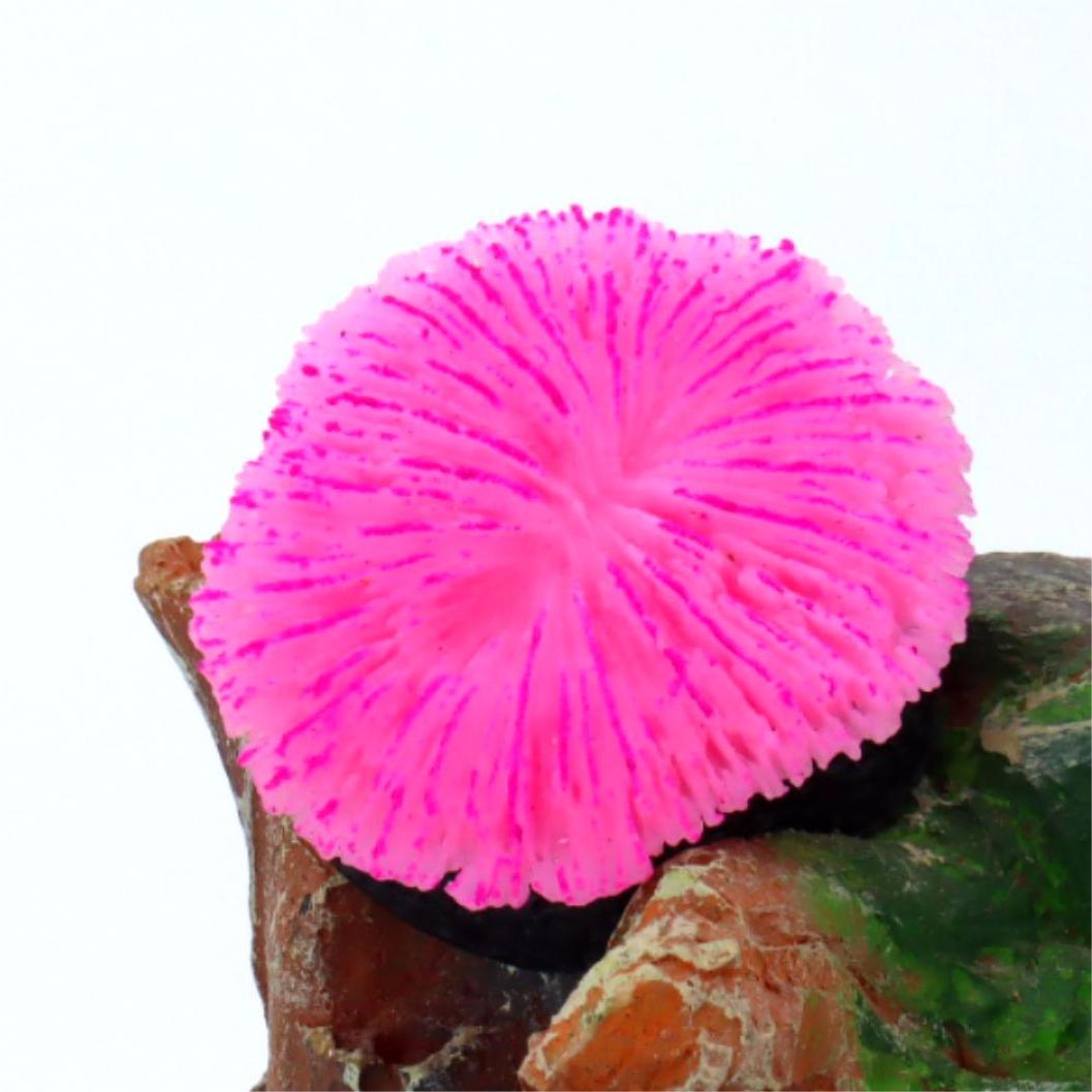 1 Adet Akvaryum Dekorasyonu Te - Live Plant Aquarium incelemesi ve fiyatı