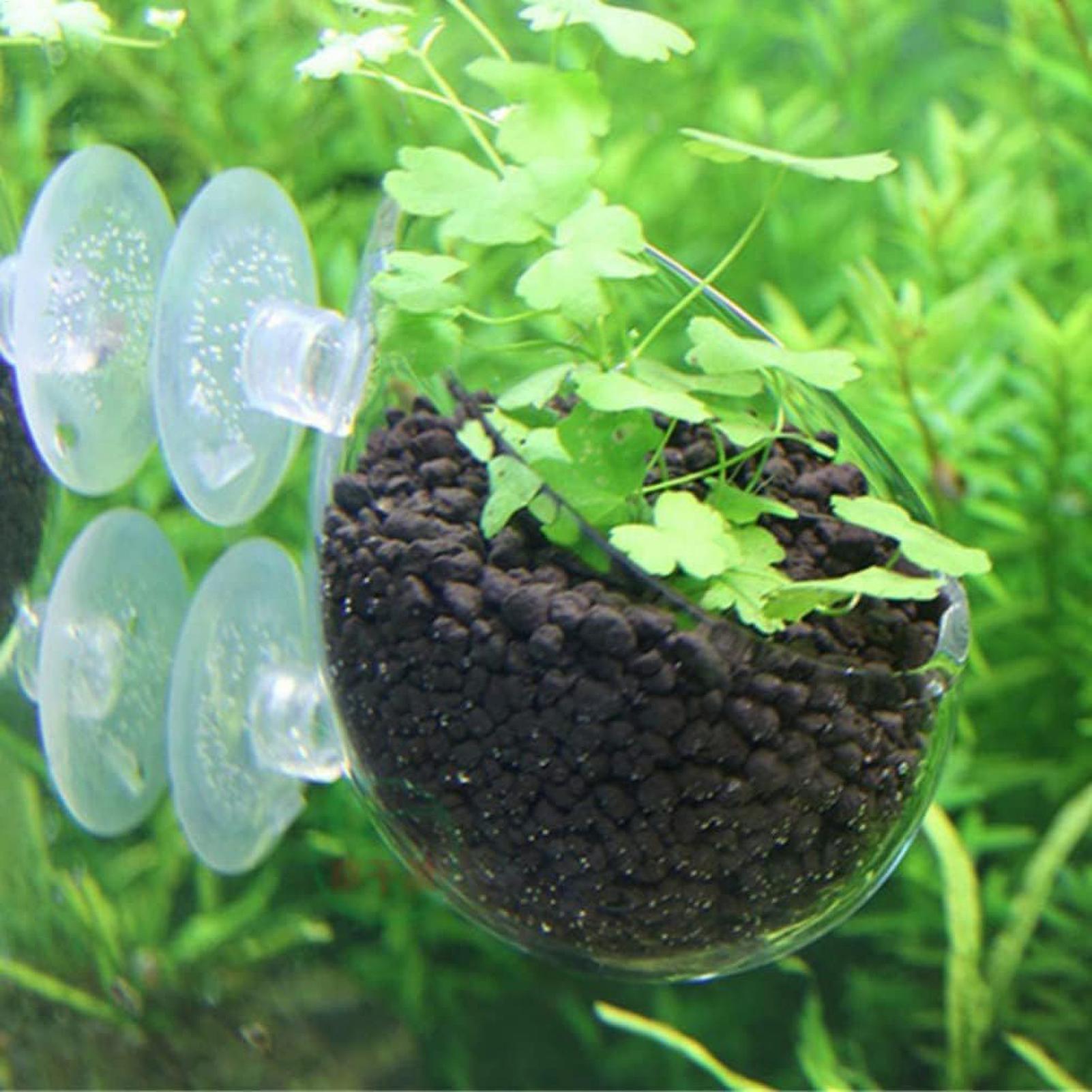 Akvaryum Bitki Tutucu Cam Su B - Aquarium Plant Holder incelemesi ve fiyatı