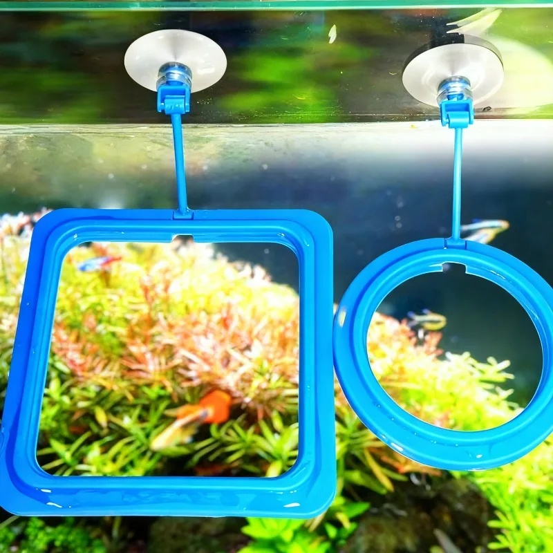 Akvaryum Besleme Halkası Balık - Aquarium Fertilizer incelemesi ve fiyatı