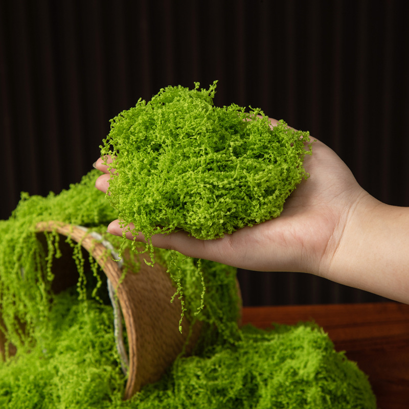 200g Ebedi Yaşam Yosun DIY El  - Aquarium Moss incelemesi ve fiyatı