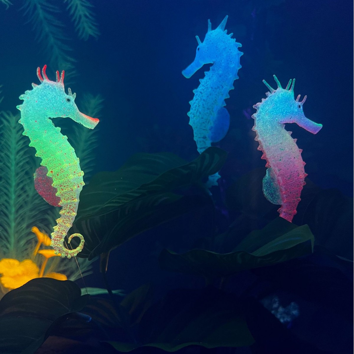 Simüle Edilmiş Işıklı Denizatı - Aquarium Plant Substrate incelemesi ve fiyatı