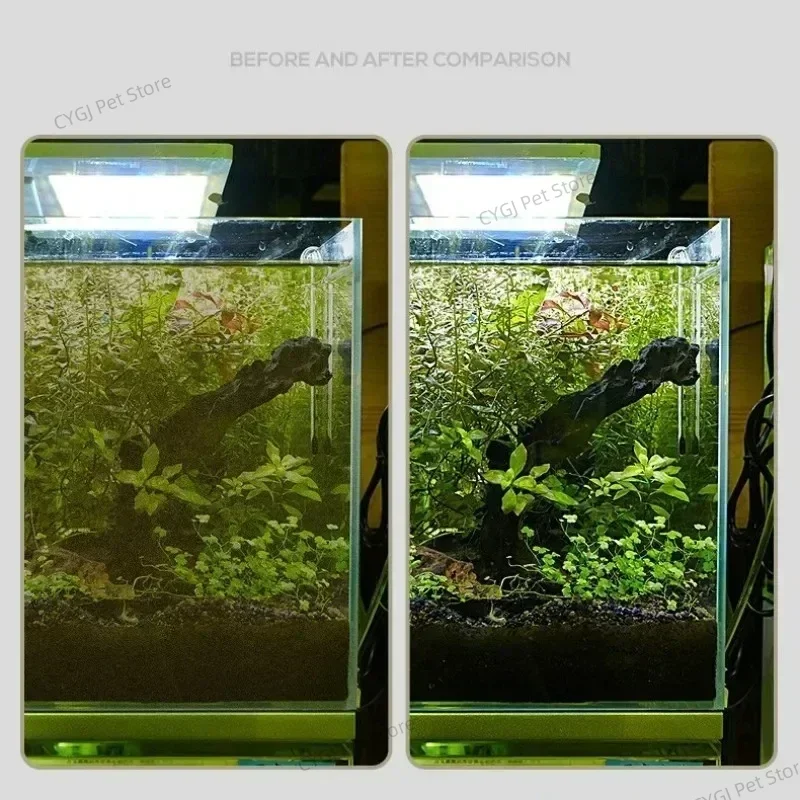 Balık Tankı Temizleme Aracı Dü - Planted Aquarium Cleaning incelemesi ve fiyatı