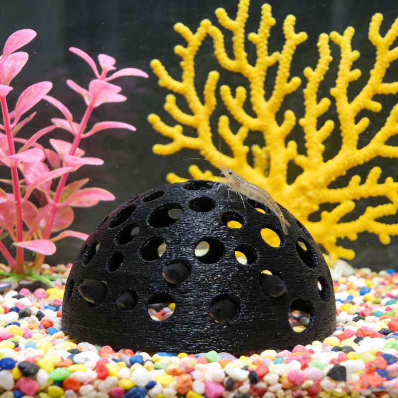 Küçük Balıklar İçin Akvaryum G - Aquarium Plants Live incelemesi ve fiyatı