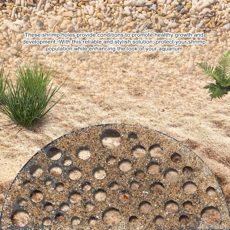 Küçük Balıklar İçin Akvaryum G - Aquarium Plants Live incelemesi ve fiyatı