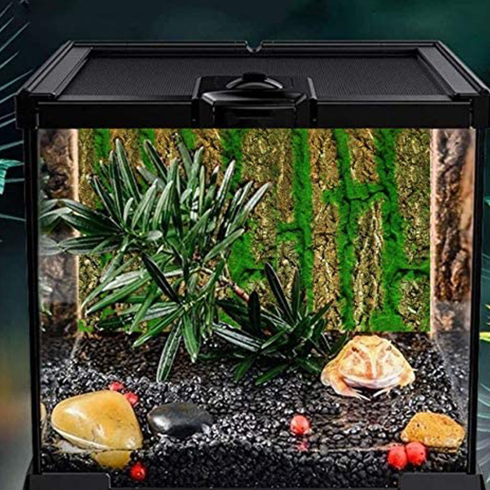 3D Akvaryum Arka Plan Panosu,  - Aquarium Moss incelemesi ve fiyatı