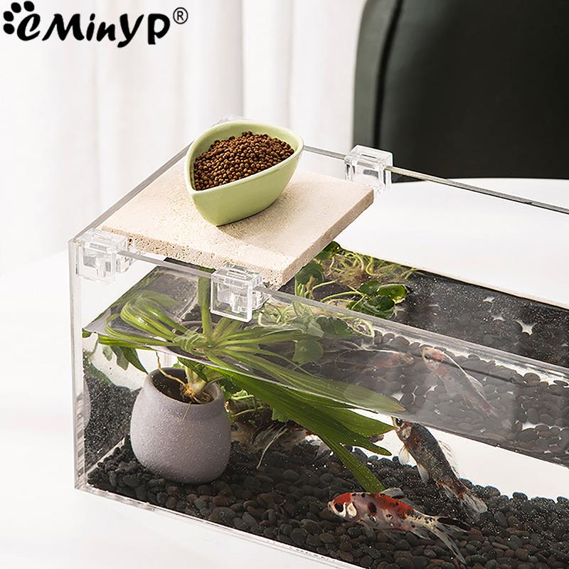 4 adet Balık Tankı Akrilik Kli - Aquarium Plant Holder incelemesi ve fiyatı