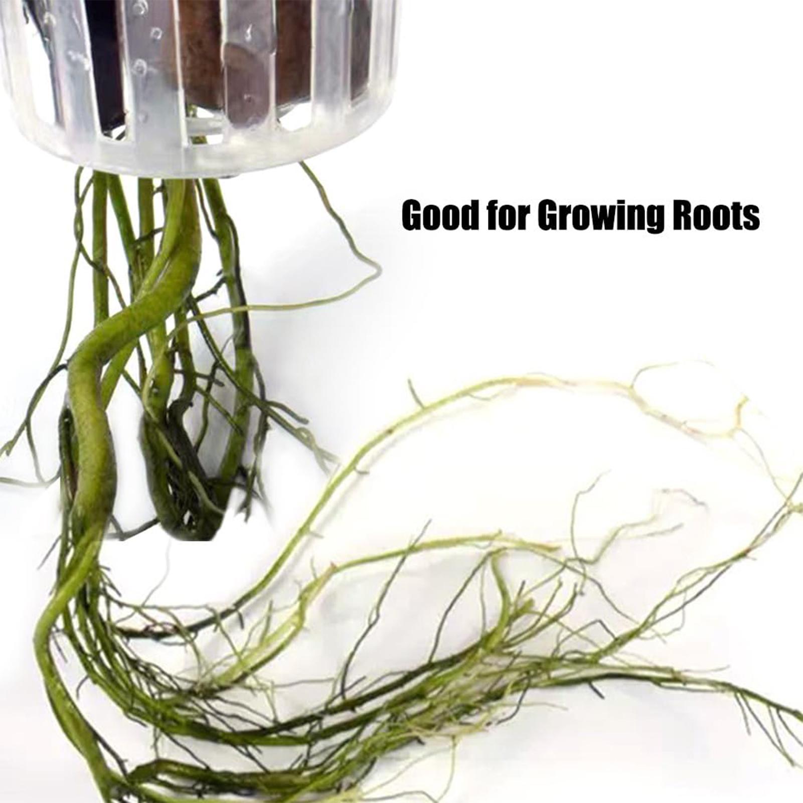 2 adet, delikli, asılabilir su - Aquarium Plant Holder incelemesi ve fiyatı