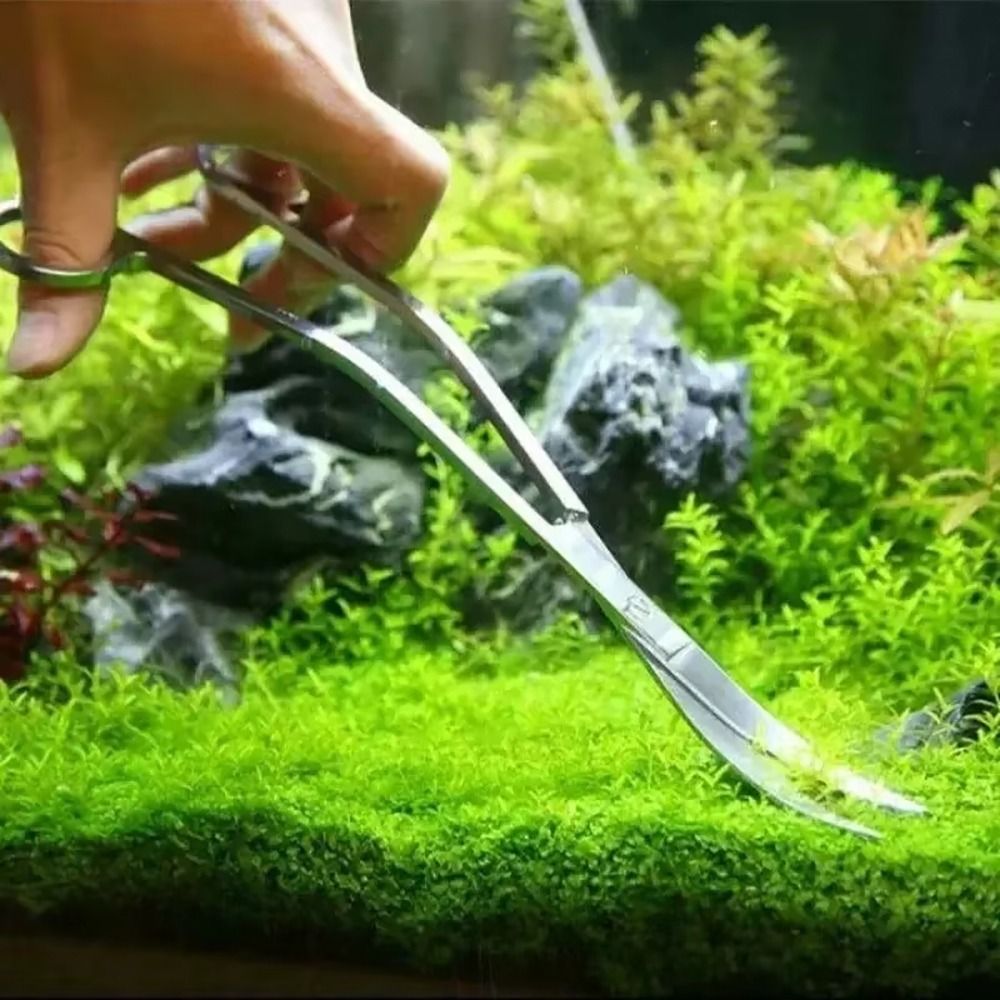 1 adet Paslanmaz Çelik Akvaryu - Planted Aquarium Cleaning incelemesi ve fiyatı