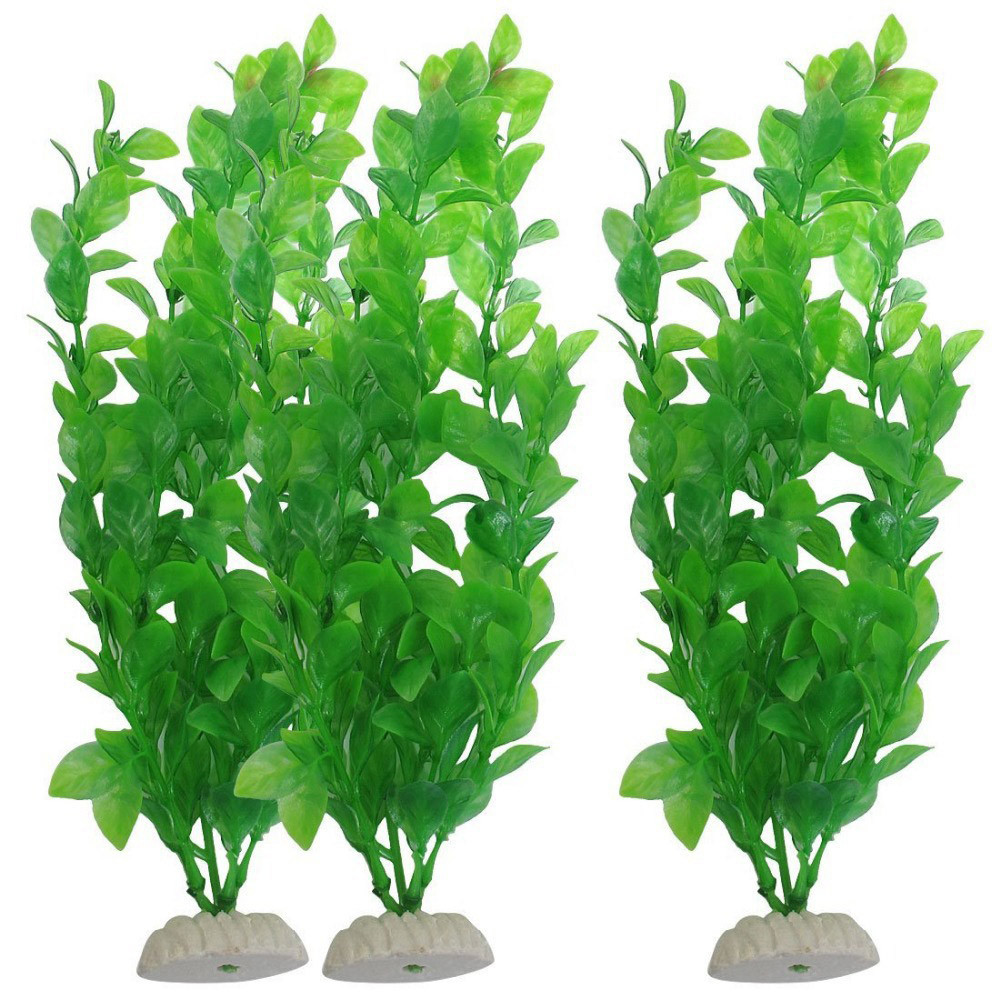 3 adet Suni Çim Akvaryum Süs B - Aquarium Plants Live incelemesi ve fiyatı