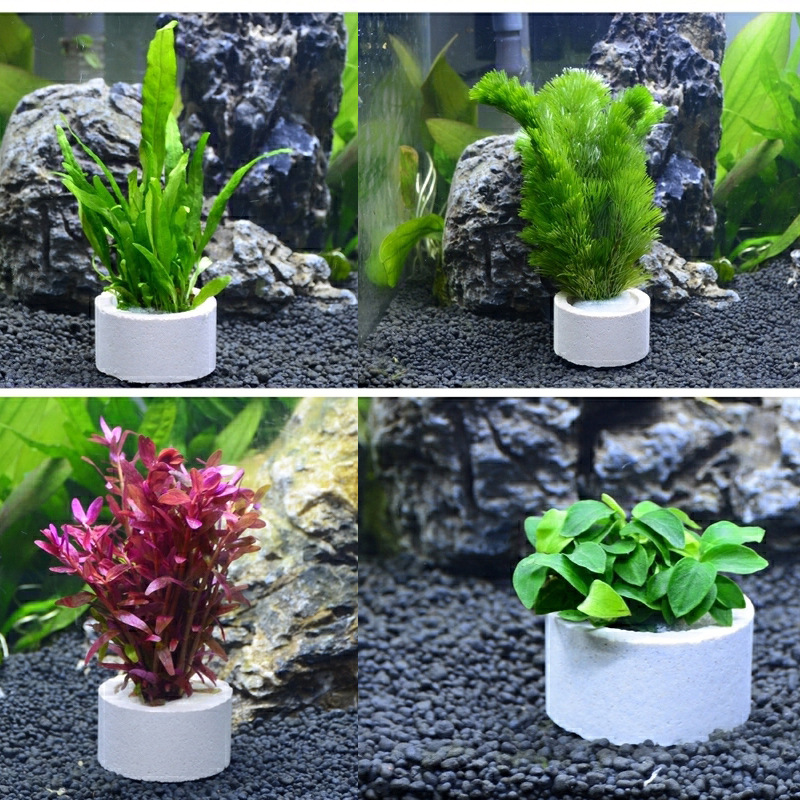 Akvaryum dekorasyon seramik ha - Plant Aquarium Pot incelemesi ve fiyatı