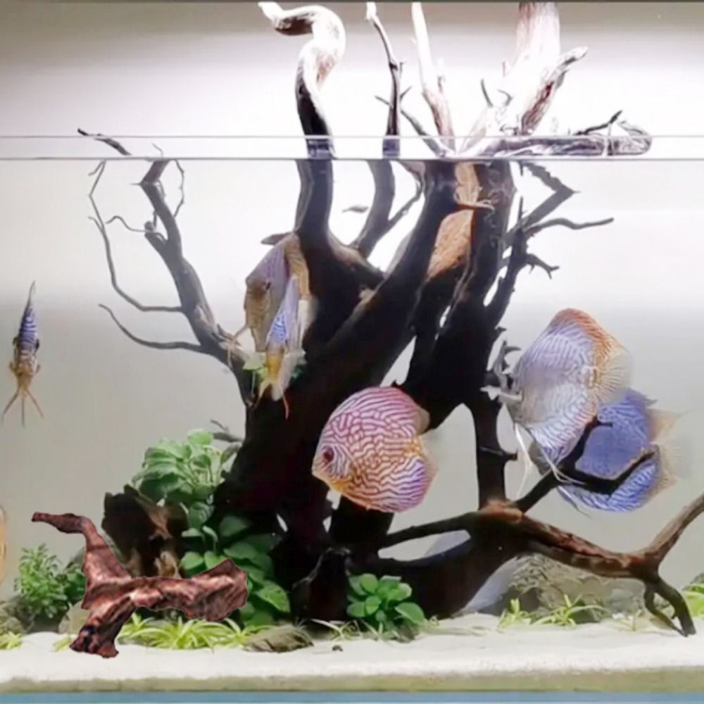 Yaratıcı Düzensiz Şekilli Merc - Aquarium Driftwood incelemesi ve fiyatı
