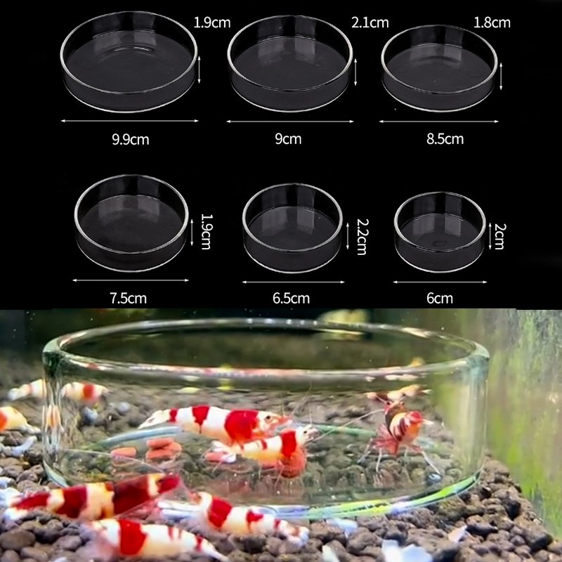 Karides besleme kabı Yüksek Şe - Aquarium Fertilizer incelemesi ve fiyatı