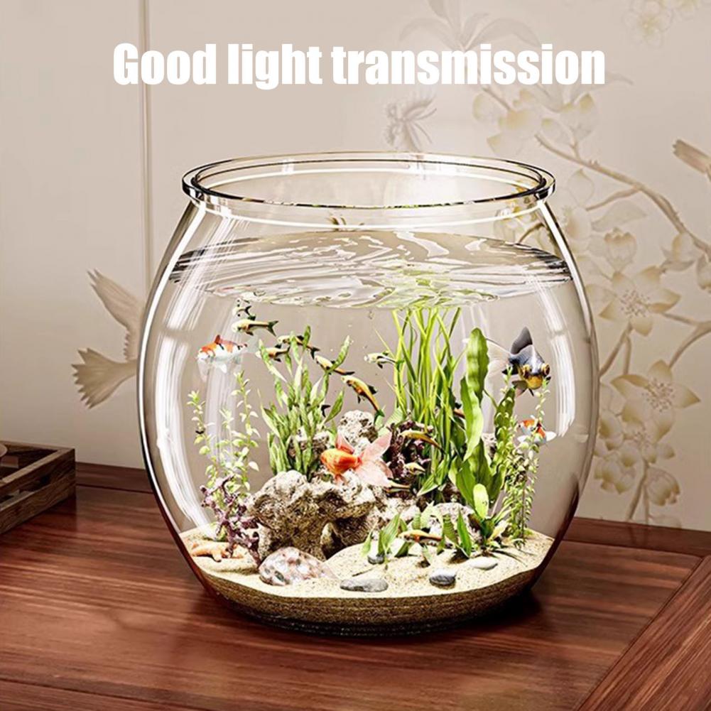 Şeffaf Plastik yuvarlak balık  - Plant Aquarium Pot incelemesi ve fiyatı