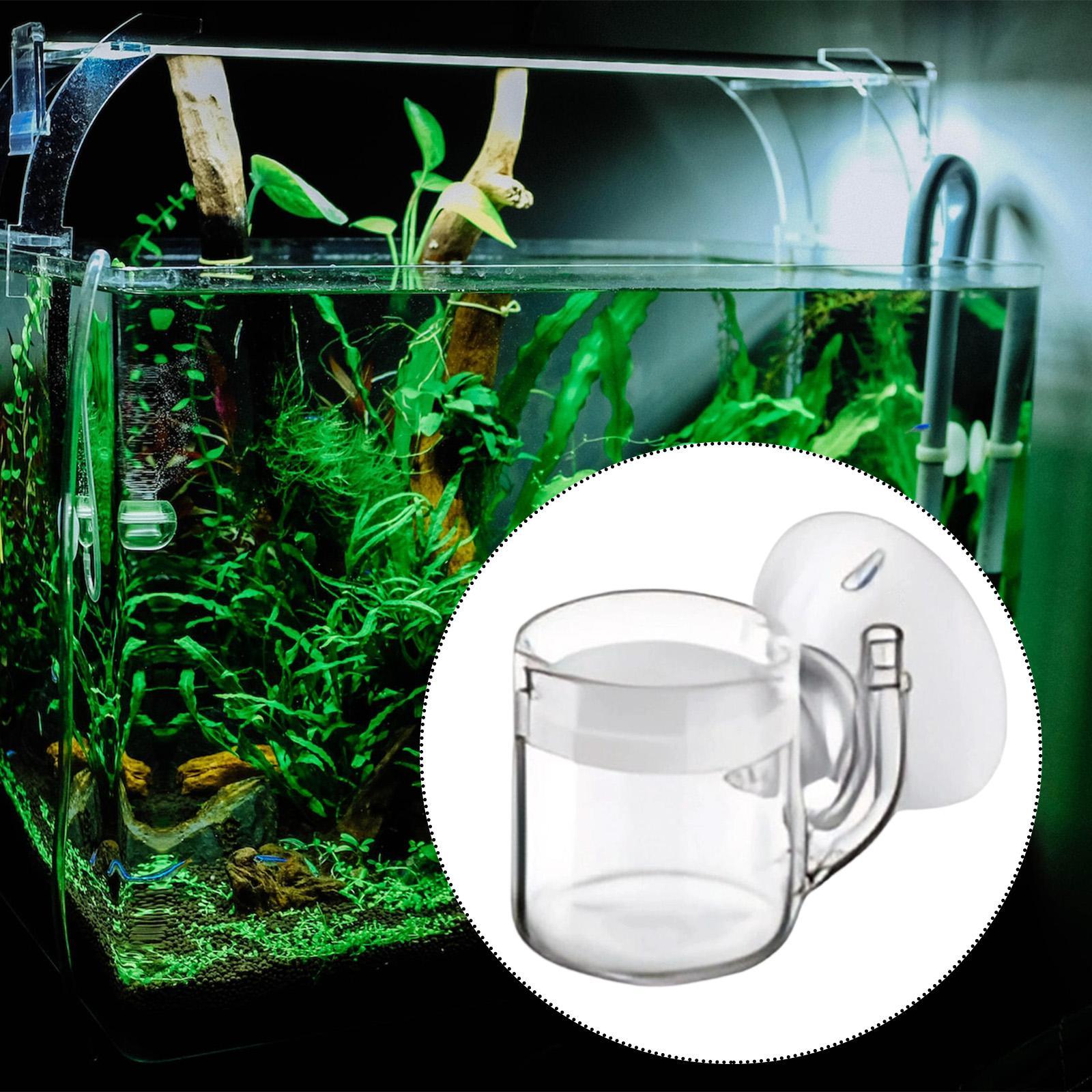 CO2 Difüzörü Düz Tabanlı Sessi - Planted Aquarium Cleaning incelemesi ve fiyatı