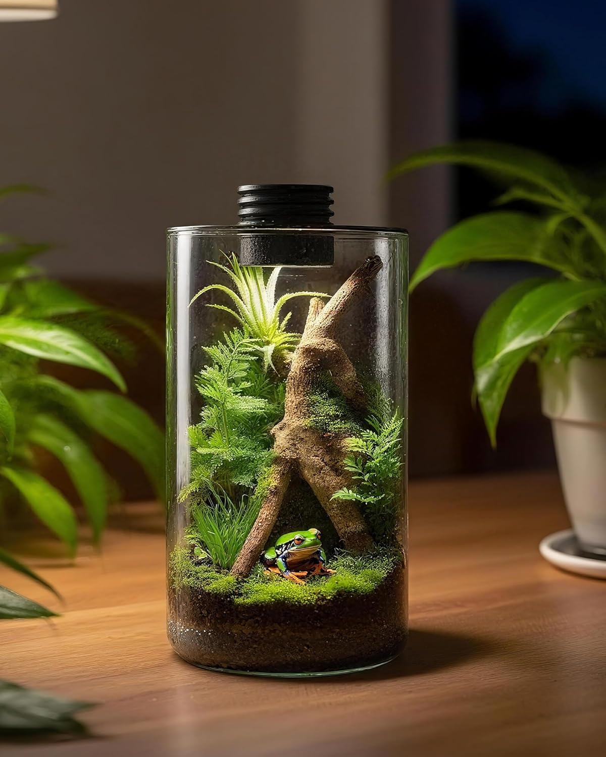 İç Mekan Cam Teraryumu, Büyütm - Planted Tank incelemesi ve fiyatı