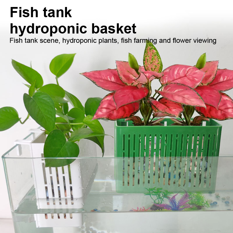 Balık Tankı Asılı Saksı Su Bit - Aquarium Plant Holder incelemesi ve fiyatı